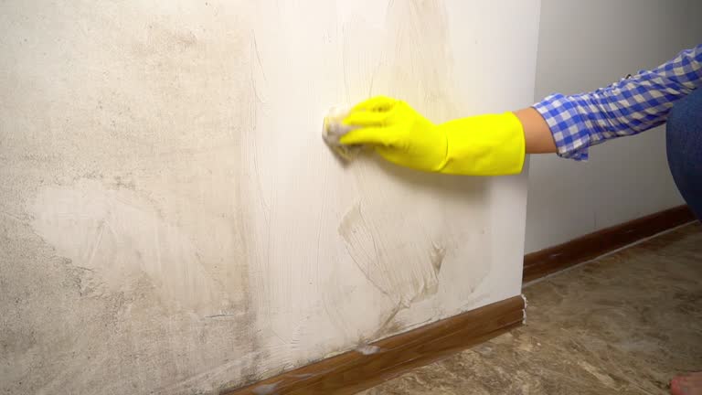 Best Air Quality Testing for Mold Spores  in Mayo, SC